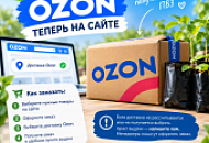 Подключили OZON Доставку 