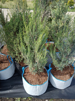 Сумка для саженцев 40 л (39х33,5)