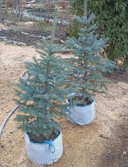 Сумка для саженцев 30 л (39х25)