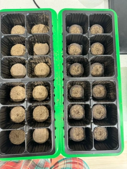 Торфяные таблетки d=42 универсальные 12шт