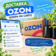 Подключили OZON Доставку 