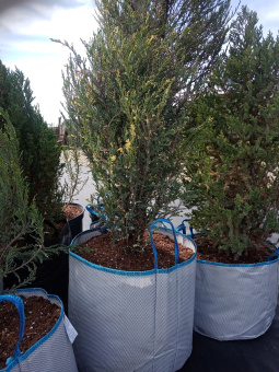 Сумка для саженцев 40 л (39х33,5)