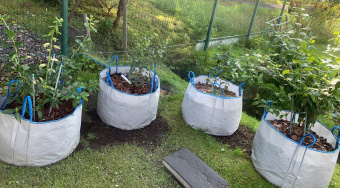 Сумки для саженцев 60 л (49х32)