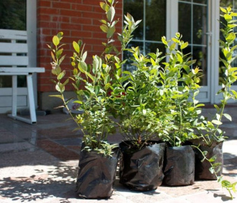 9л - 100 шт. Пакеты для рассады, саженцев